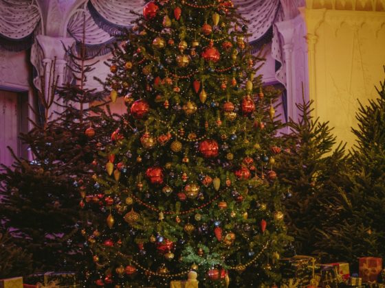 christmas-trees-gifts-christmas-ornaments